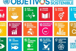 Educación para el desarrollo sostenible: integrando la sostenibilidad en el currículo