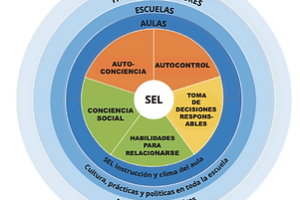 Educación socioemocional: claves para un aprendizaje efectivo y saludable